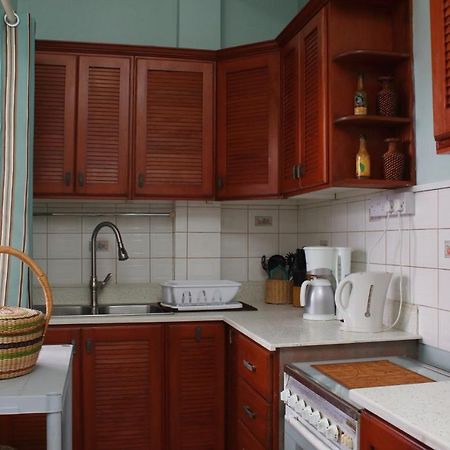 The Answin Apartment Roseau Dış mekan fotoğraf