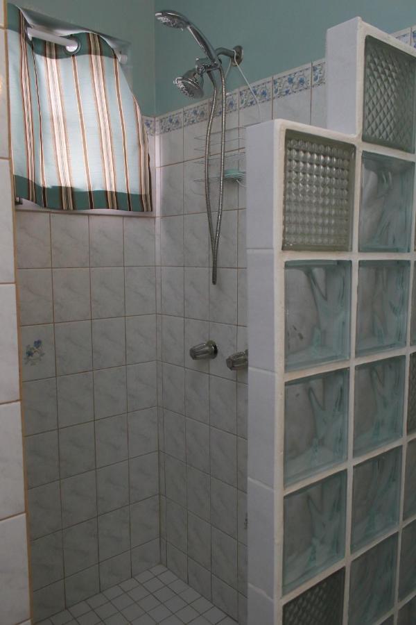 The Answin Apartment Roseau Dış mekan fotoğraf
