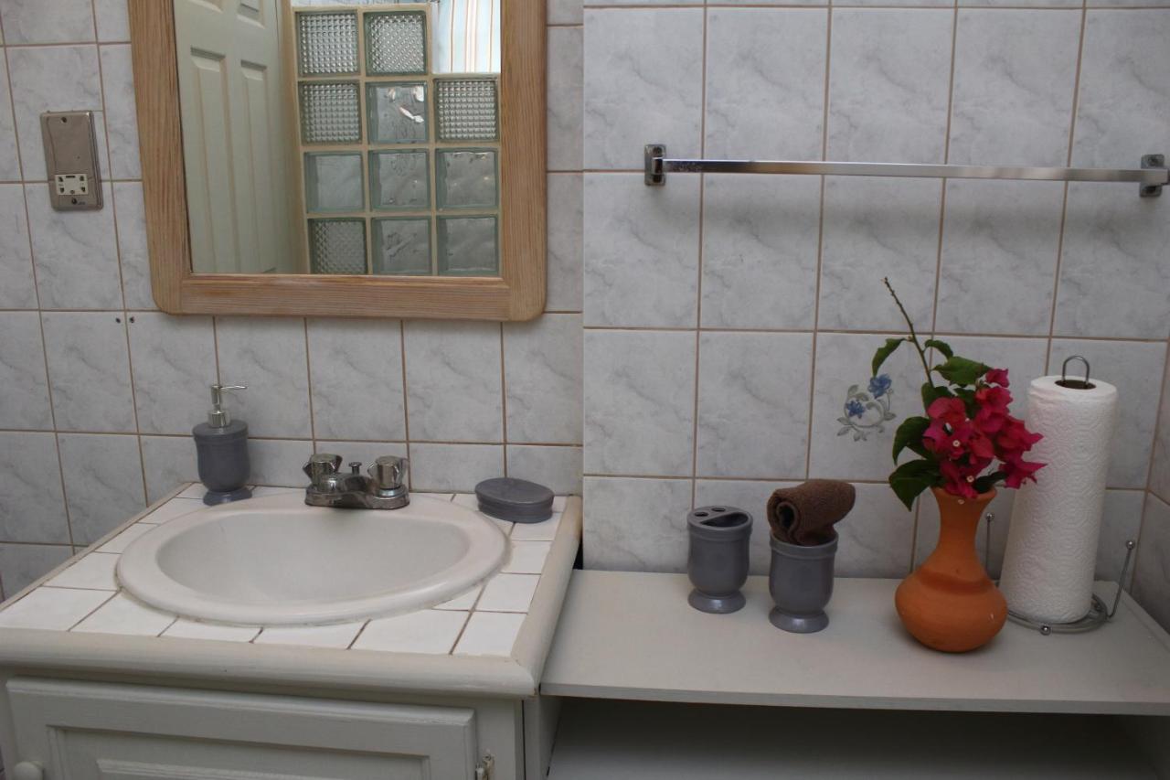 The Answin Apartment Roseau Dış mekan fotoğraf